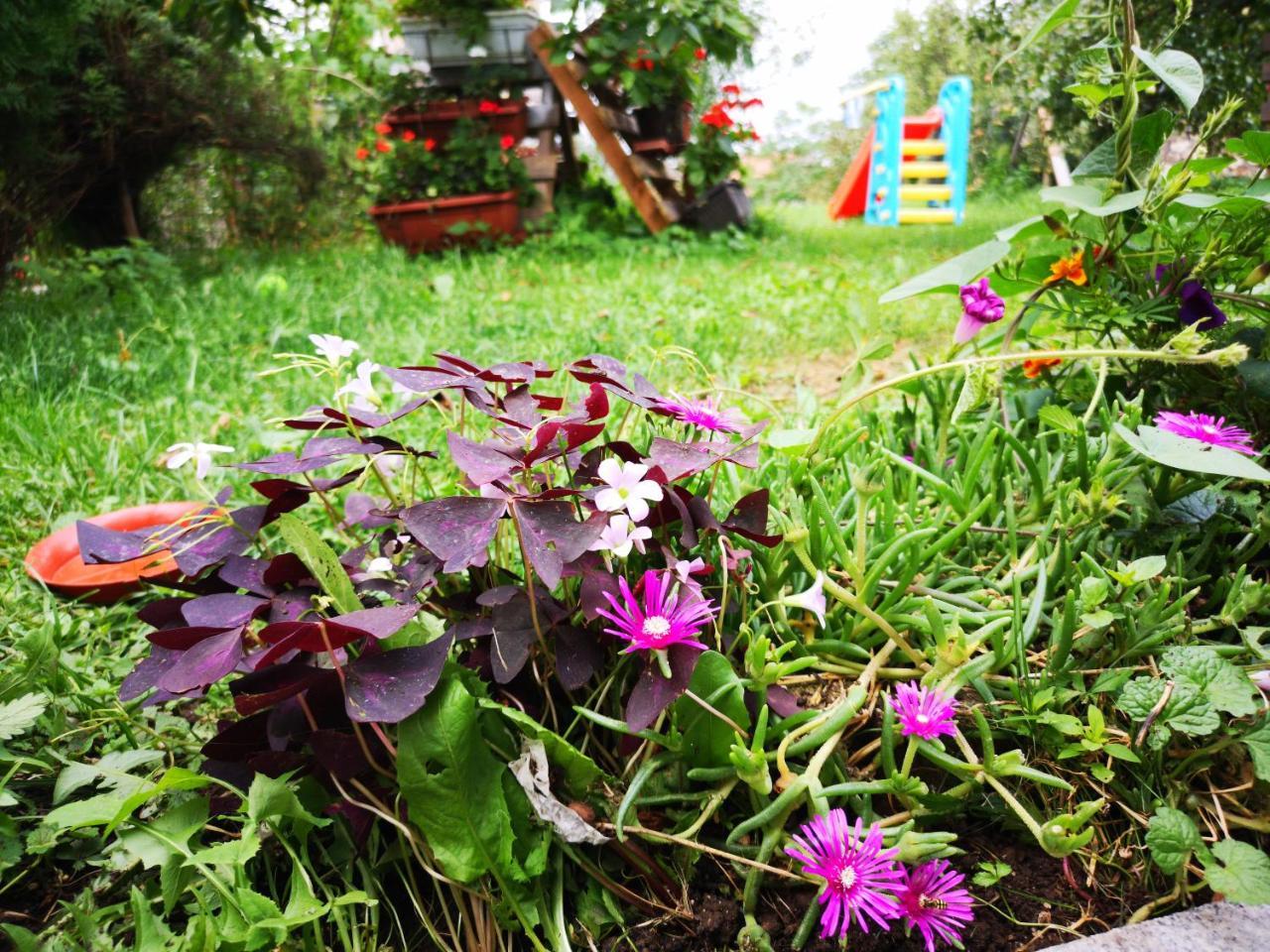 Family Apartment With Garden Sarajevo Exterior photo